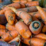 Свежая морковь после уборки урожая